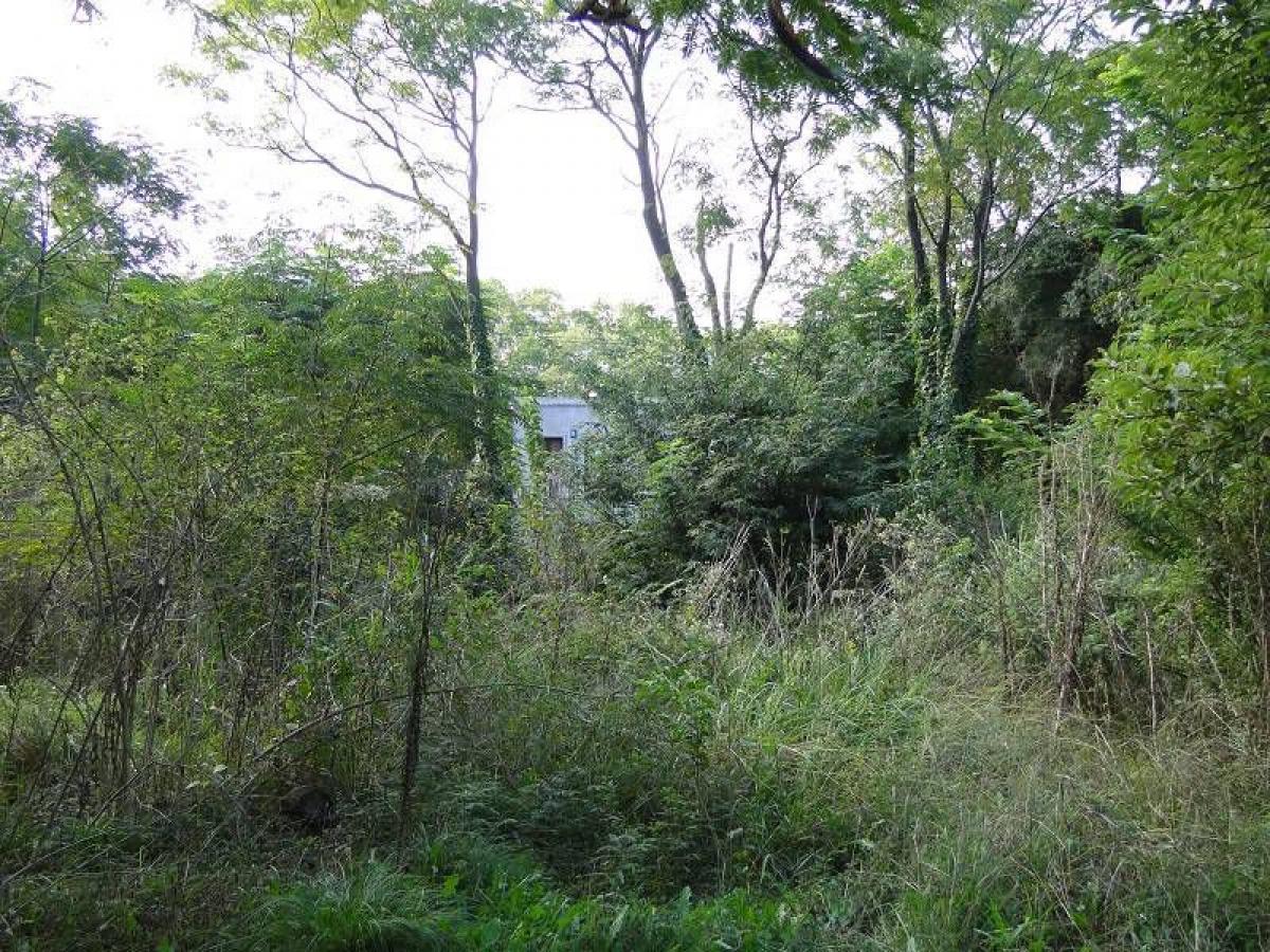  Land in Marcos Paz, Argentina No. 45459