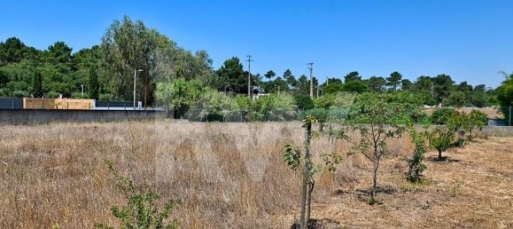 5 غرف نوم تاون هاوس في Setubal, Portugal رقم 60186 22