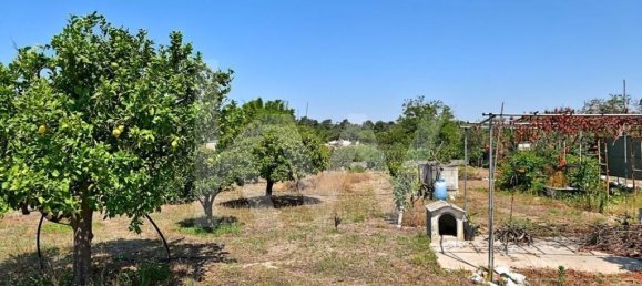 5 غرف نوم تاون هاوس في Setubal, Portugal رقم 60186 20