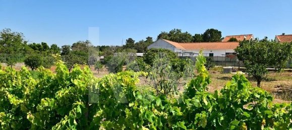 5 غرف نوم تاون هاوس في Setubal, Portugal رقم 60186 21