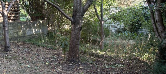 Adosado de 4 dormitorios en Dahme-Spreewald, Germany No. 245362 19