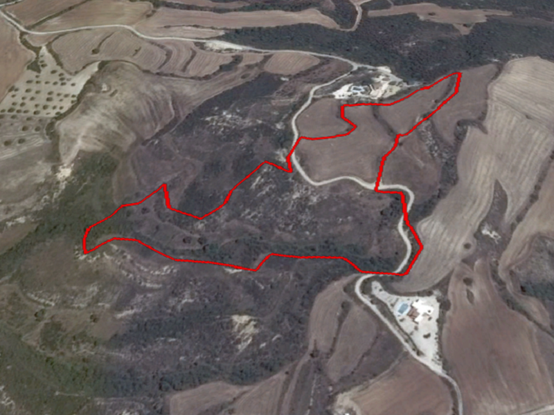 32108m² Land in Goudi, Cyprus No. 8906