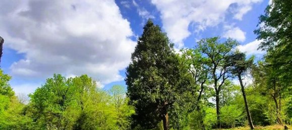 4 Schlafzimmer Doppelhaus in Lamotte-Beuvron, France, Nr. 65184 10