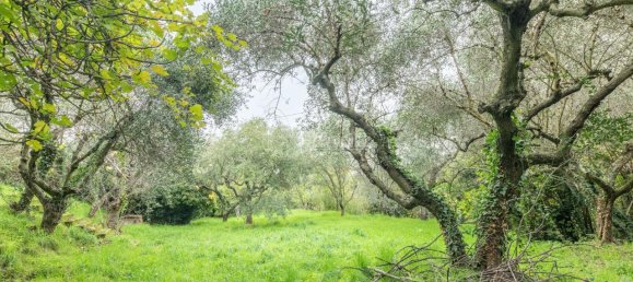 Apartamento de 5 habitaciónes en Viterbo, Italy No. 121068 26