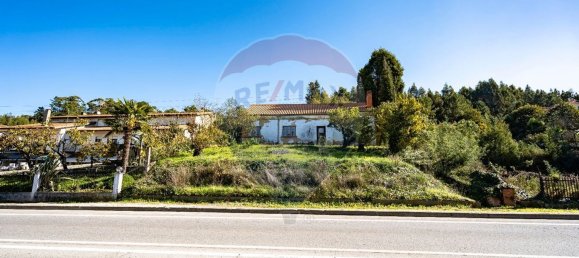 3 bedrooms House in Anadia, Portugal No. 50403 3