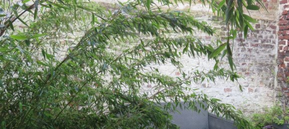 3 غرف نوم منزل في Croix, France رقم 69786 16