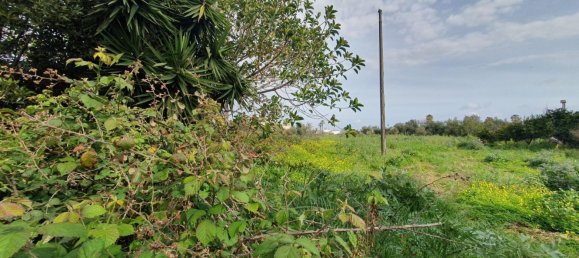 463m² Commercial property in Syracuse, Italy No. 240814 3