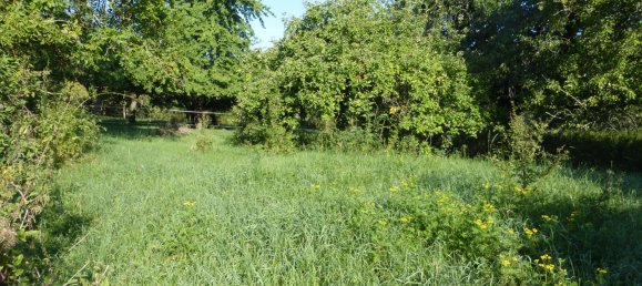  Land in Mutzig, France No. 276052 6
