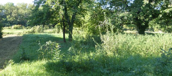  Land in Mutzig, France No. 276052 4