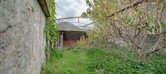 3 Schlafzimmer Haus in Miranda do Corvo, Portugal, Nr. 181774 7