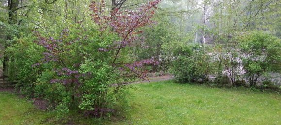 6 rooms Cafe / restaurant in Mecklenburgische Seenplatte, Germany No. 369425 5