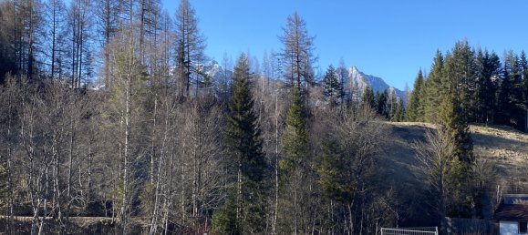 Grundstück in Seefeld in Tirol, Austria, Nr. 167134 2