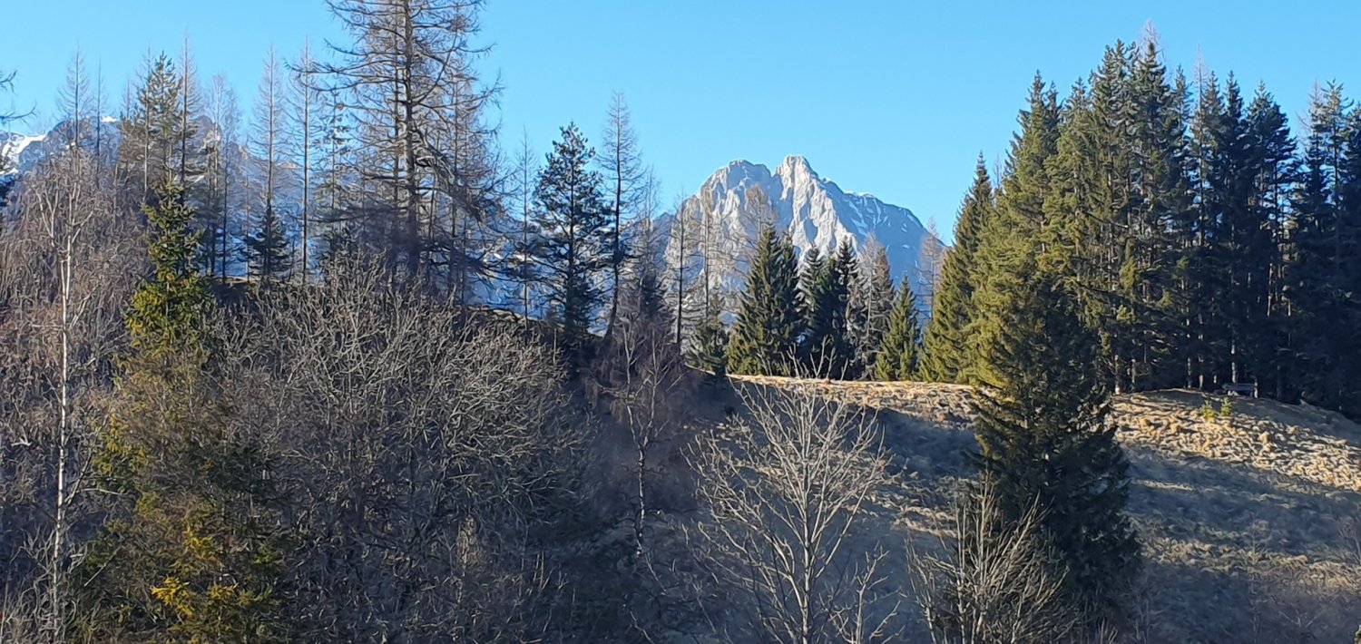 Terrain à Seefeld in Tirol, Austria No. 167134