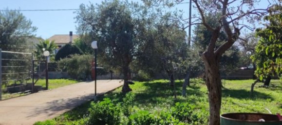 2 rooms Villa in Noto, Italy No. 251995 8