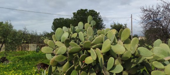 2 rooms Villa in Noto, Italy No. 251995 32