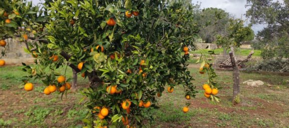 2 rooms Villa in Noto, Italy No. 251995 30