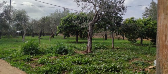 2 rooms Villa in Noto, Italy No. 251995 27