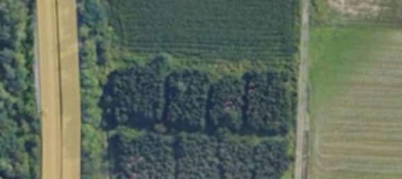 Земельный участок 10000м² в Сеттимо Миланезе, Италия № 236843 2