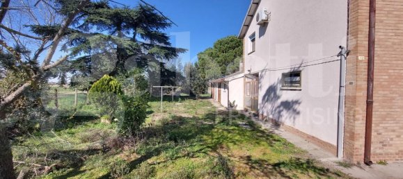 10غرفة منزل في Mesola, Italy رقم 232408 12