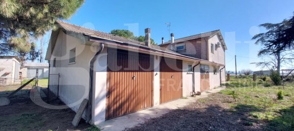 10غرفة منزل في Mesola, Italy رقم 232408 4