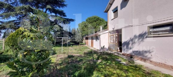 10غرفة منزل في Mesola, Italy رقم 232408 29