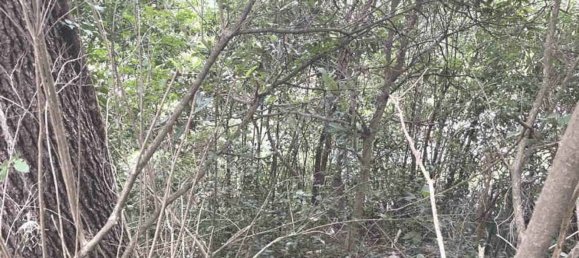 2 rooms Apartment in Calolziocorte, Italy No. 8081 24