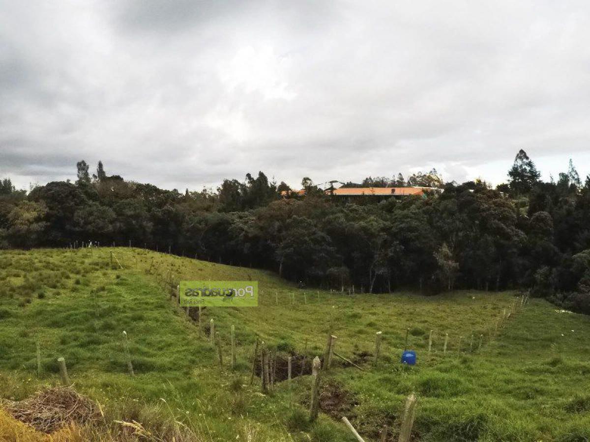  قطعة أرض في Antioquia, Colombia رقم 442