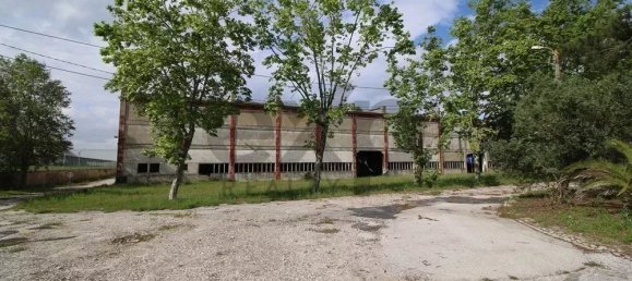 Gewerbliche Immobilie in Palmela, Portugal 13446m², Nr. 208965 8