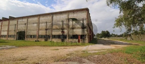 Gewerbliche Immobilie in Palmela, Portugal 13446m², Nr. 208965 12