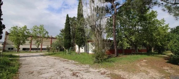 Gewerbliche Immobilie in Palmela, Portugal 13446m², Nr. 208965 7