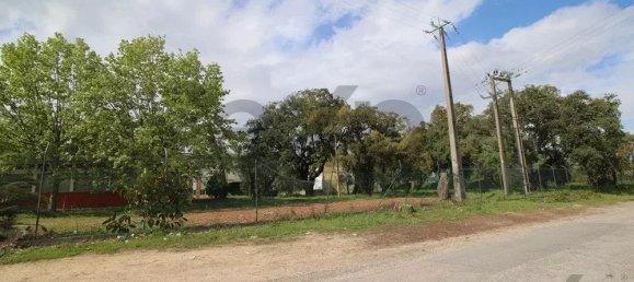 Gewerbliche Immobilie in Palmela, Portugal 13446m², Nr. 208965 5