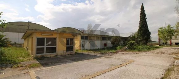 Gewerbliche Immobilie in Palmela, Portugal 13446m², Nr. 208965 6