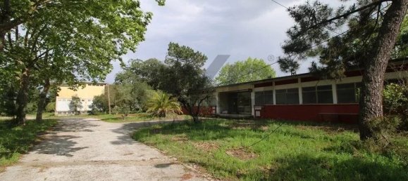 Gewerbliche Immobilie in Palmela, Portugal 13446m², Nr. 208965 10