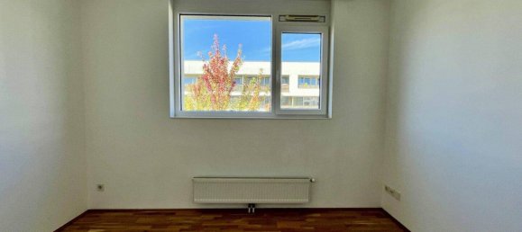 2-Zimmer Wohnung in Wels, Austria, Nr. 241071 7