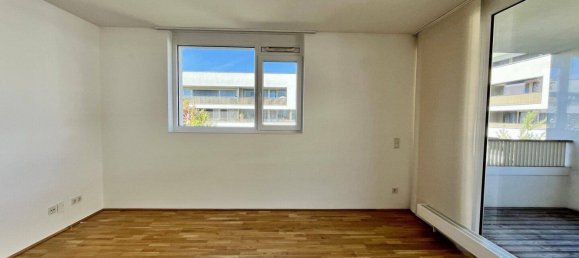 2-Zimmer Wohnung in Wels, Austria, Nr. 241071 3