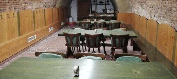 234m² Commercial property in Roschitz, Austria No. 133165 13