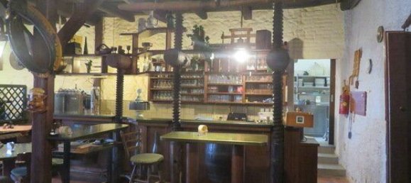 234m² Commercial property in Roschitz, Austria No. 133165 8