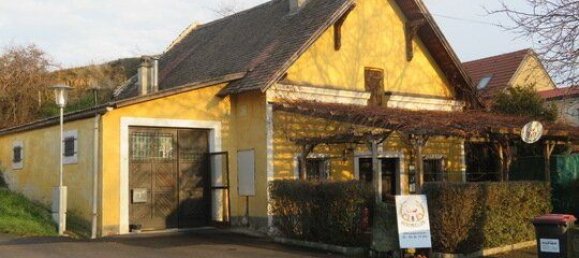 234m² Commercial property in Roschitz, Austria No. 133165 2