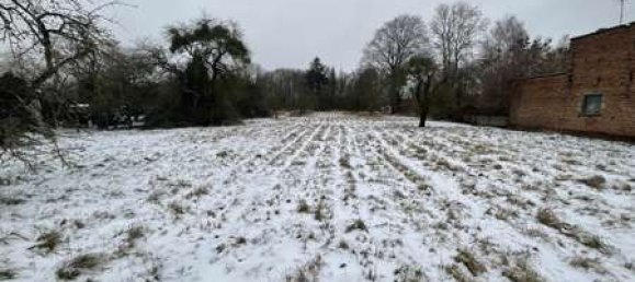 3 bedrooms House in Uckermark, Germany No. 51034 8