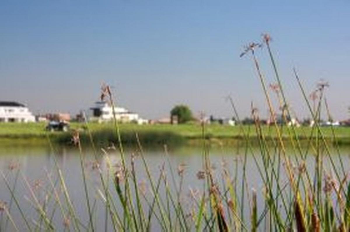  قطعة أرض في Tigre, Argentina رقم 36265