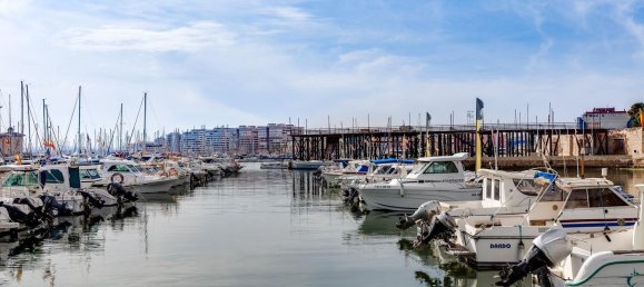 3 bedrooms Apartment in Torrevieja, Spain No. 100176 33