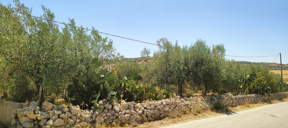  قطعة أرض في Rosolini, Italy 16000متر مربع رقم 309652 2