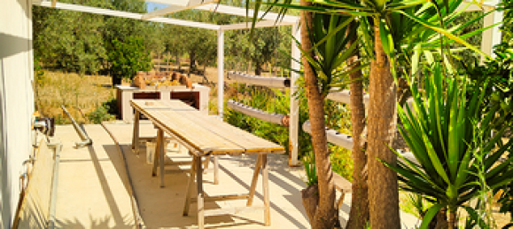  قطعة أرض في Rosolini, Italy 16000متر مربع رقم 309652 4