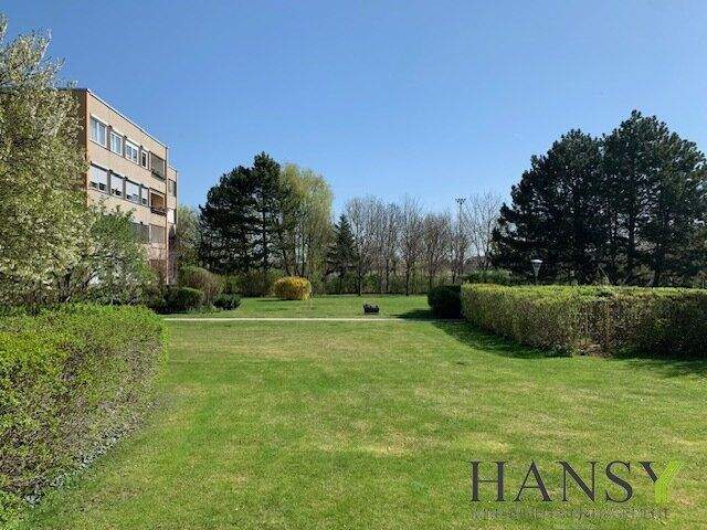 4 rooms Apartment in Baden, Austria No. 212271