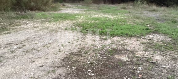 1725m² Land in Grandola, Portugal No. 110904 19