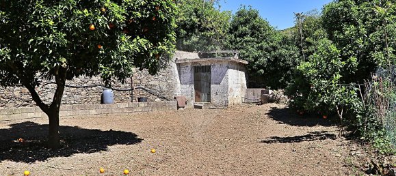 5 bedrooms House in Peso da Regua, Portugal No. 21247 14