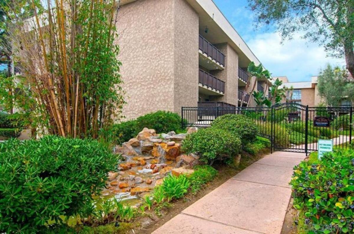 استوديو في San Diego, USA رقم 282139