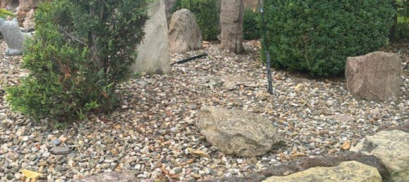 Дом с 8 комнатами в Хасберге, Германия № 320261 14