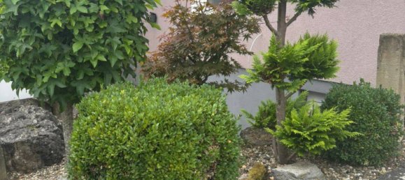 Дом с 8 комнатами в Хасберге, Германия № 320261 5