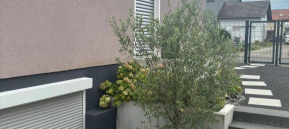 Дом с 8 комнатами в Хасберге, Германия № 320261 3